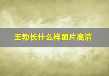 王勃长什么样图片高清