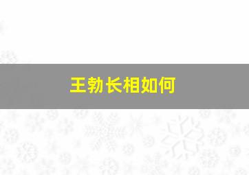 王勃长相如何