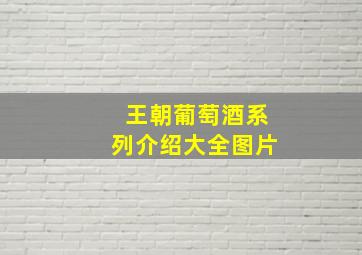 王朝葡萄酒系列介绍大全图片