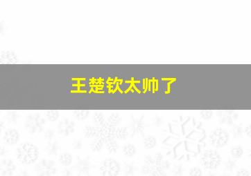 王楚钦太帅了