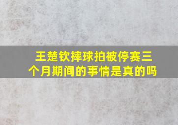 王楚钦摔球拍被停赛三个月期间的事情是真的吗