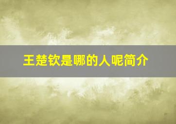 王楚钦是哪的人呢简介