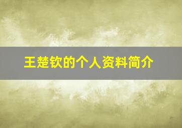 王楚钦的个人资料简介