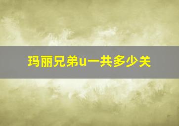 玛丽兄弟u一共多少关