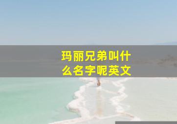 玛丽兄弟叫什么名字呢英文