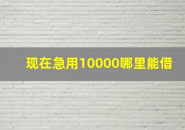 现在急用10000哪里能借