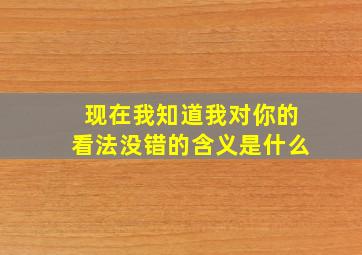 现在我知道我对你的看法没错的含义是什么