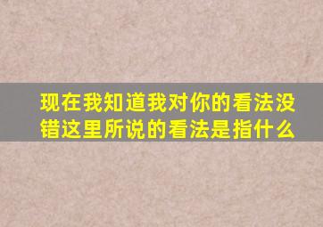 现在我知道我对你的看法没错这里所说的看法是指什么