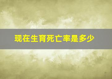 现在生育死亡率是多少