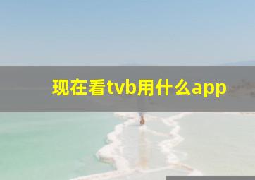 现在看tvb用什么app