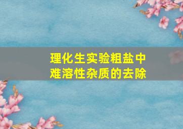 理化生实验粗盐中难溶性杂质的去除