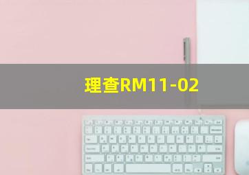 理查RM11-02