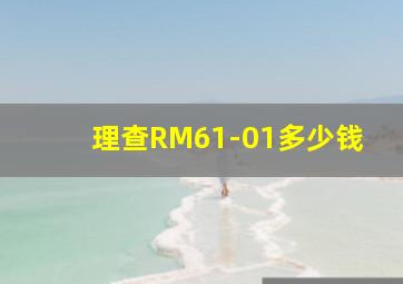 理查RM61-01多少钱