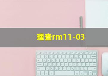 理查rm11-03