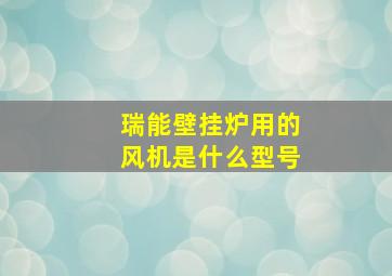 瑞能壁挂炉用的风机是什么型号