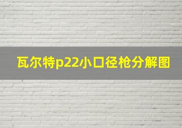 瓦尔特p22小口径枪分解图