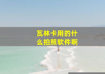 瓦林卡用的什么拍照软件啊