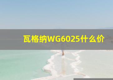 瓦格纳WG6025什么价