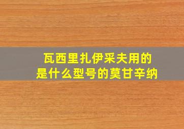 瓦西里扎伊采夫用的是什么型号的莫甘辛纳