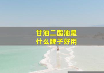 甘油二酯油是什么牌子好用