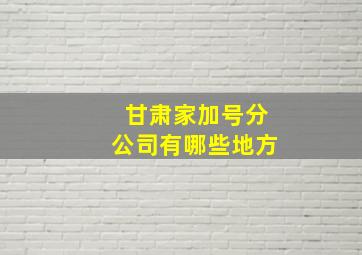 甘肃家加号分公司有哪些地方