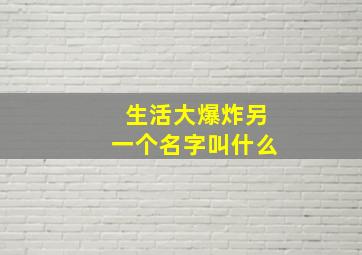 生活大爆炸另一个名字叫什么