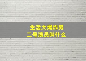 生活大爆炸男二号演员叫什么