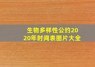 生物多样性公约2020年时间表图片大全