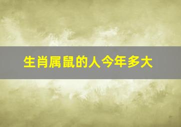 生肖属鼠的人今年多大