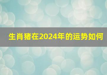 生肖猪在2024年的运势如何