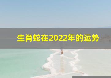 生肖蛇在2022年的运势