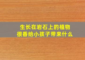 生长在岩石上的植物很香给小孩子带来什么