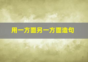 用一方面另一方面造句