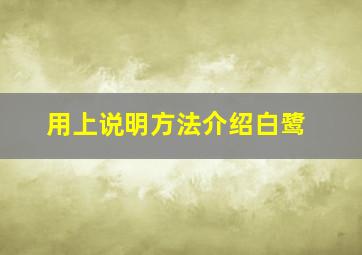 用上说明方法介绍白鹭