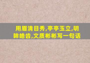 用眉清目秀,亭亭玉立,明眸皓齿,文质彬彬写一句话