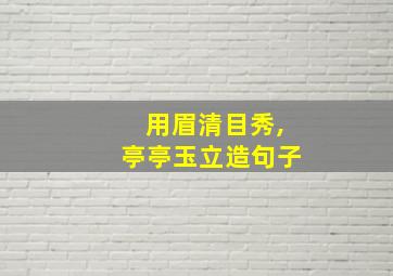 用眉清目秀,亭亭玉立造句子