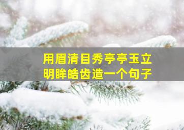 用眉清目秀亭亭玉立明眸皓齿造一个句子