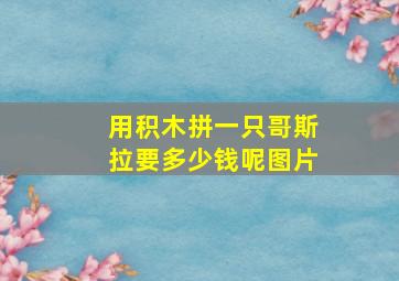 用积木拼一只哥斯拉要多少钱呢图片