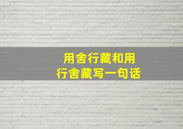 用舍行藏和用行舍藏写一句话