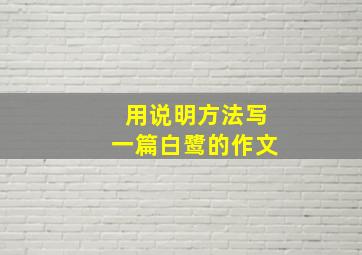 用说明方法写一篇白鹭的作文