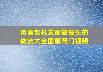 用面包机发面做馒头的做法大全图解窍门视频