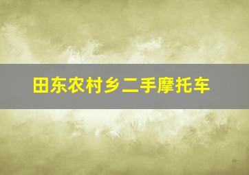 田东农村乡二手摩托车