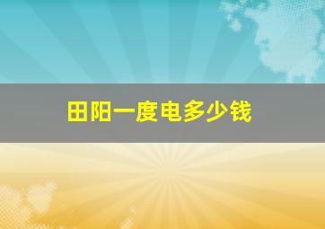 田阳一度电多少钱