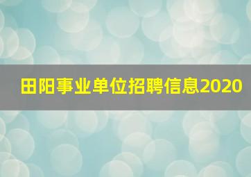 田阳事业单位招聘信息2020