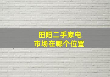 田阳二手家电市场在哪个位置