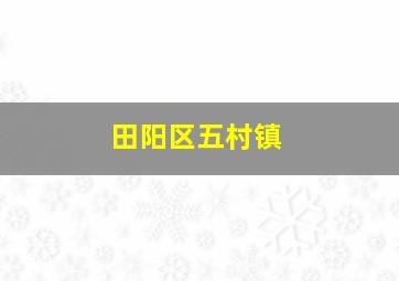 田阳区五村镇