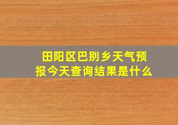 田阳区巴别乡天气预报今天查询结果是什么