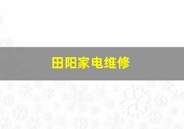 田阳家电维修