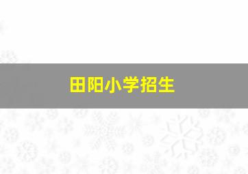 田阳小学招生