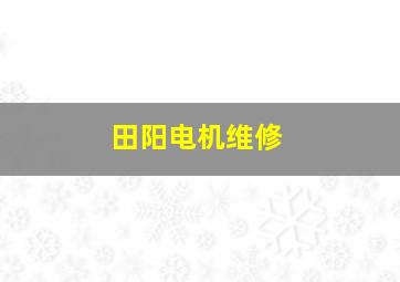 田阳电机维修